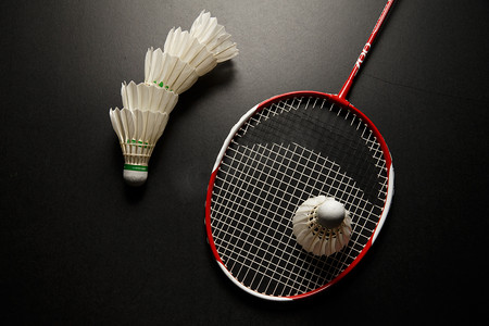 同时波格丹 同时波格丹