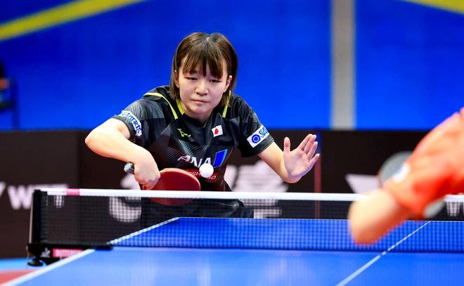 已经在球迷 已经在球迷