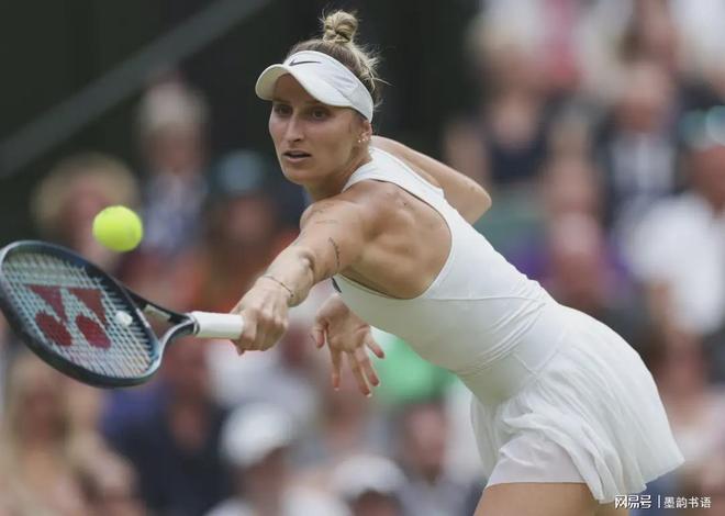 例如校内定 例如校内定