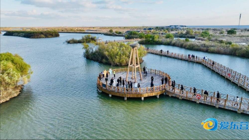 度的战略意 度的战略意